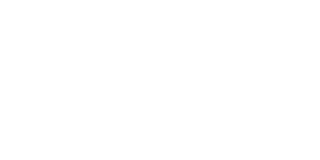 Smart Web Consulting